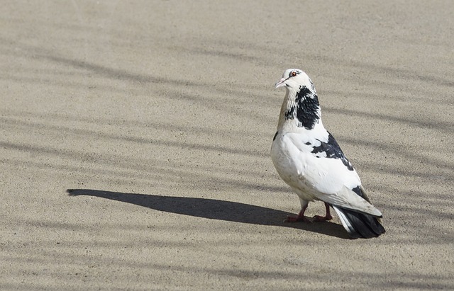 与禁区